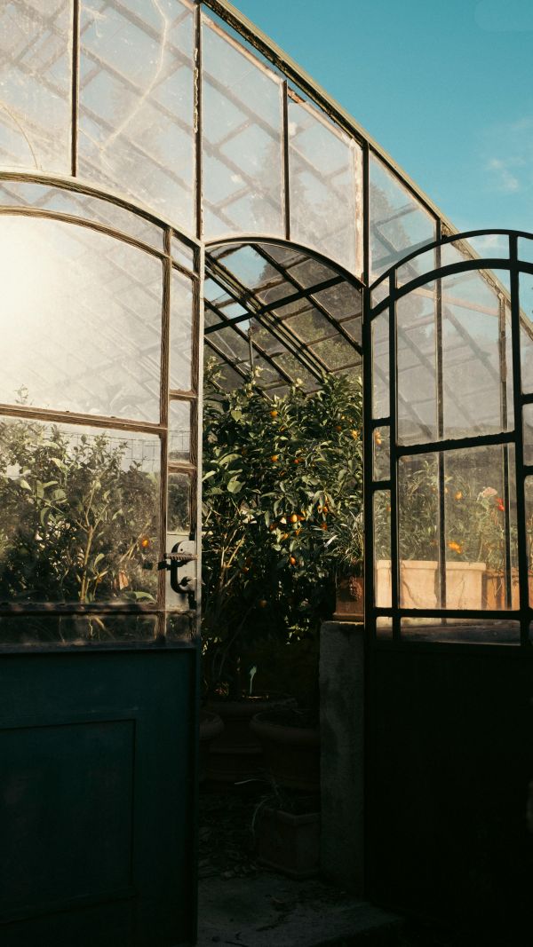 Serre de jardin en polycarbonate : le guide complet pour se lancer sereinement