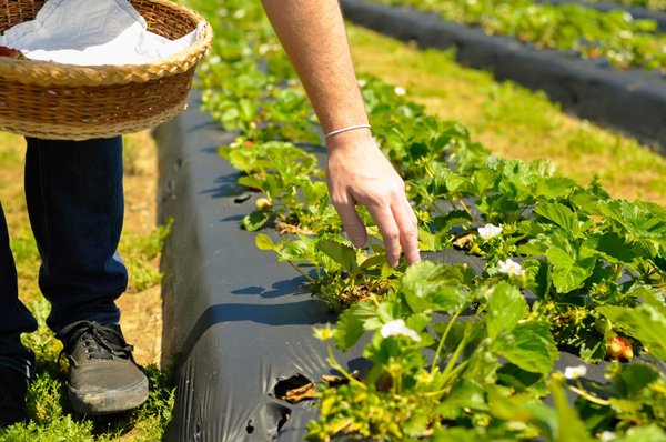 Les enjeux et les réussites de l'extraction d'eau par le forage dans les régions rurales