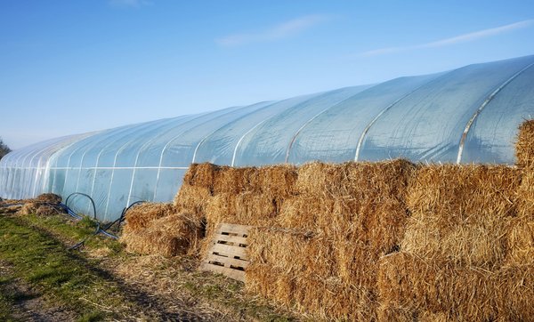 Quels sont les avantages de l'aménagement d'un tunnel de stockage agricole ?