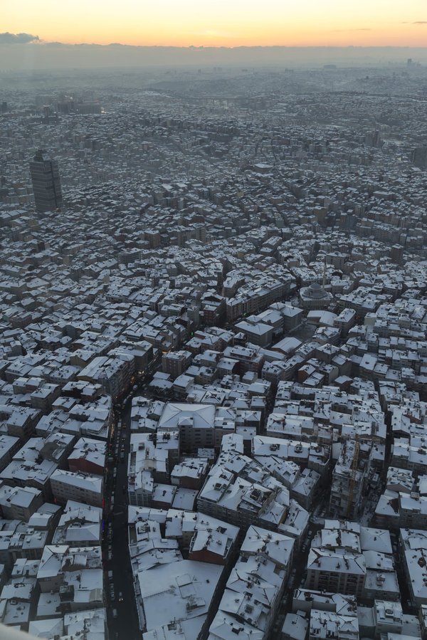 comment aménager un petit jardin urbain