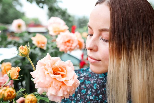 Les plantes d'ombre idéales pour les espaces ombragés de votre jardin