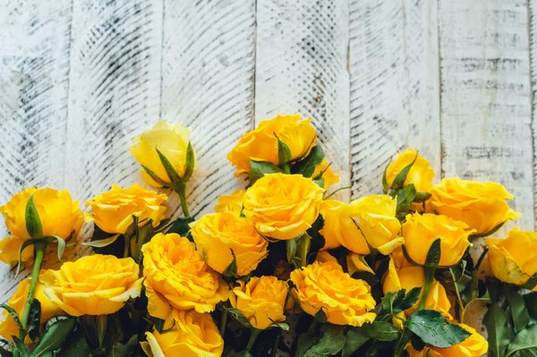 Le secret des roses jaunes : origine et symboles