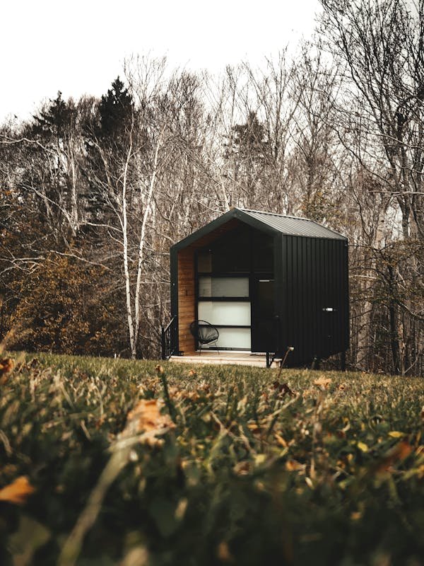 Studio container en bois : une solution pratique et esthétique