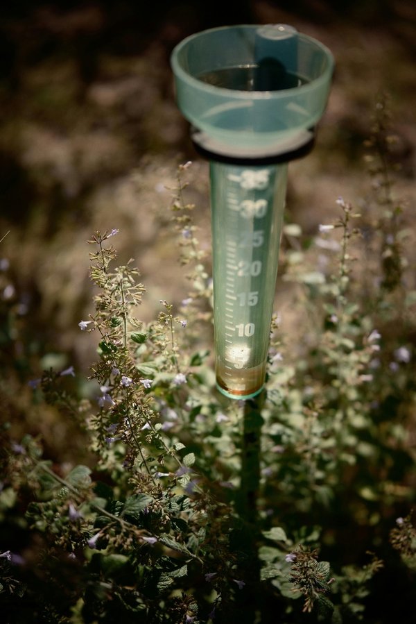 Récupérateur d'eau de pluie : guide pratique pour faire le bon choix